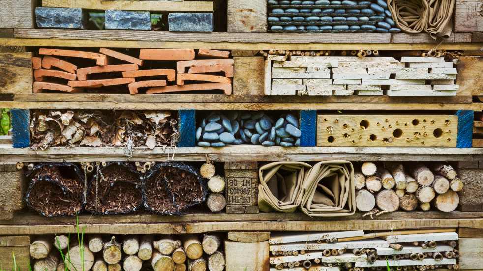 bug hotel